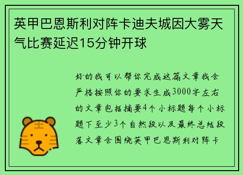 英甲巴恩斯利对阵卡迪夫城因大雾天气比赛延迟15分钟开球
