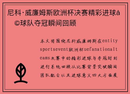 尼科·威廉姆斯欧洲杯决赛精彩进球助球队夺冠瞬间回顾